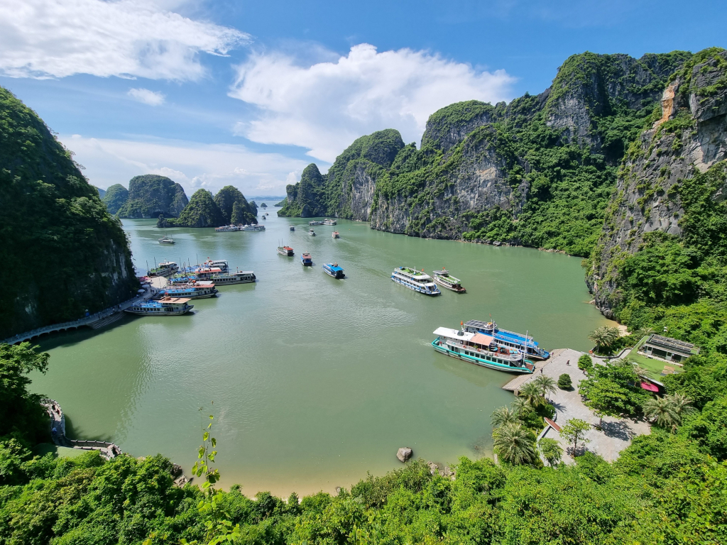 Gìn giữ, bảo tồn “báu vật” Vịnh Hạ Long - Ảnh 1.