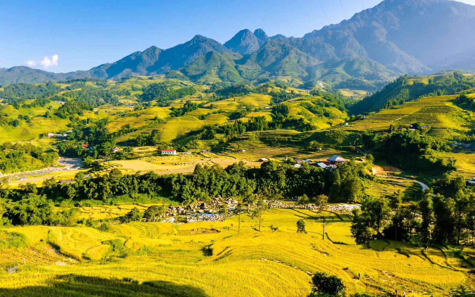 Điểm báo hoạt động ngành Văn hóa, Thể thao và Du lịch ngày 24/8/2023