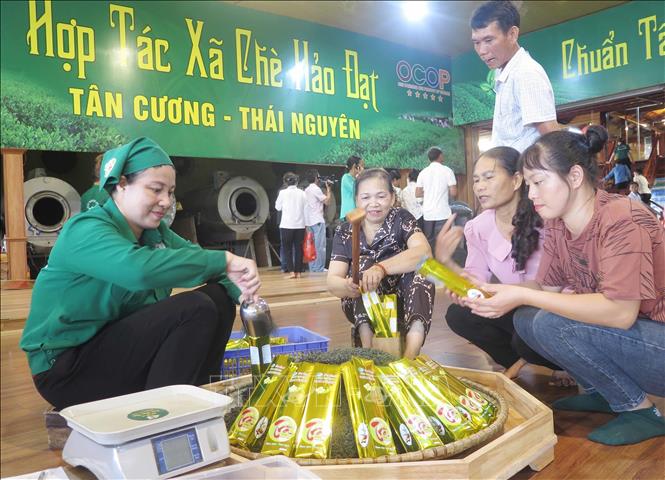 Thái Nguyên: Hấp dẫn du lịch cộng đồng gắn với văn hóa trà - Ảnh 3.