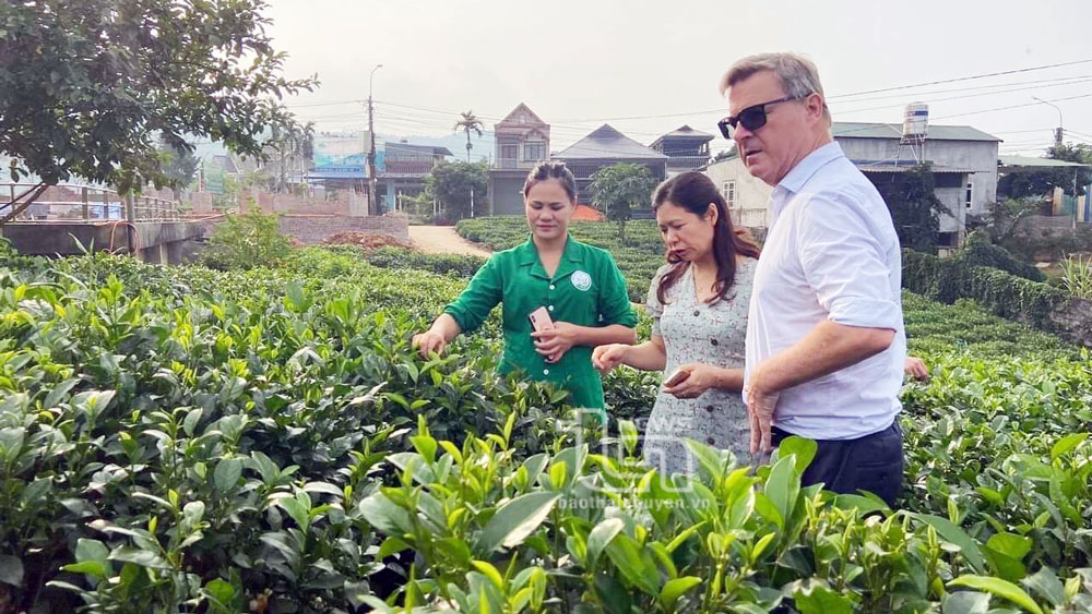 Thái Nguyên: Khai thác lợi thế kinh tế tập thể để phát triển du lịch - Ảnh 1.
