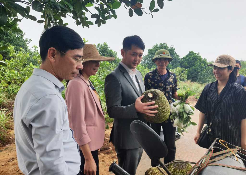 Quảng Ninh: Khai thác "chất riêng" để hút khách quốc tế - Ảnh 2.