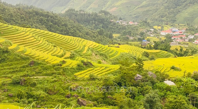 Lai Châu: Khảo sát sản phẩm du lịch “Hành trình kết nối vùng di sản ruộng bậc thang quốc gia Tây Bắc” - Ảnh 8.