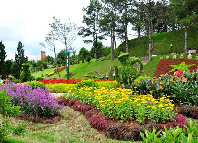 Bình Thuận: Khởi động chương trình du lịch “Hành trình Biển và Hoa” - Ảnh 1.