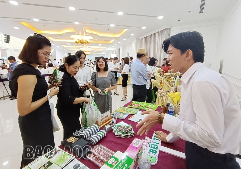 Xúc tiến, quảng bá du lịch đồng bằng sông Cửu Long với các tỉnh Tây Bắc tại Lào Cai - Ảnh 7.