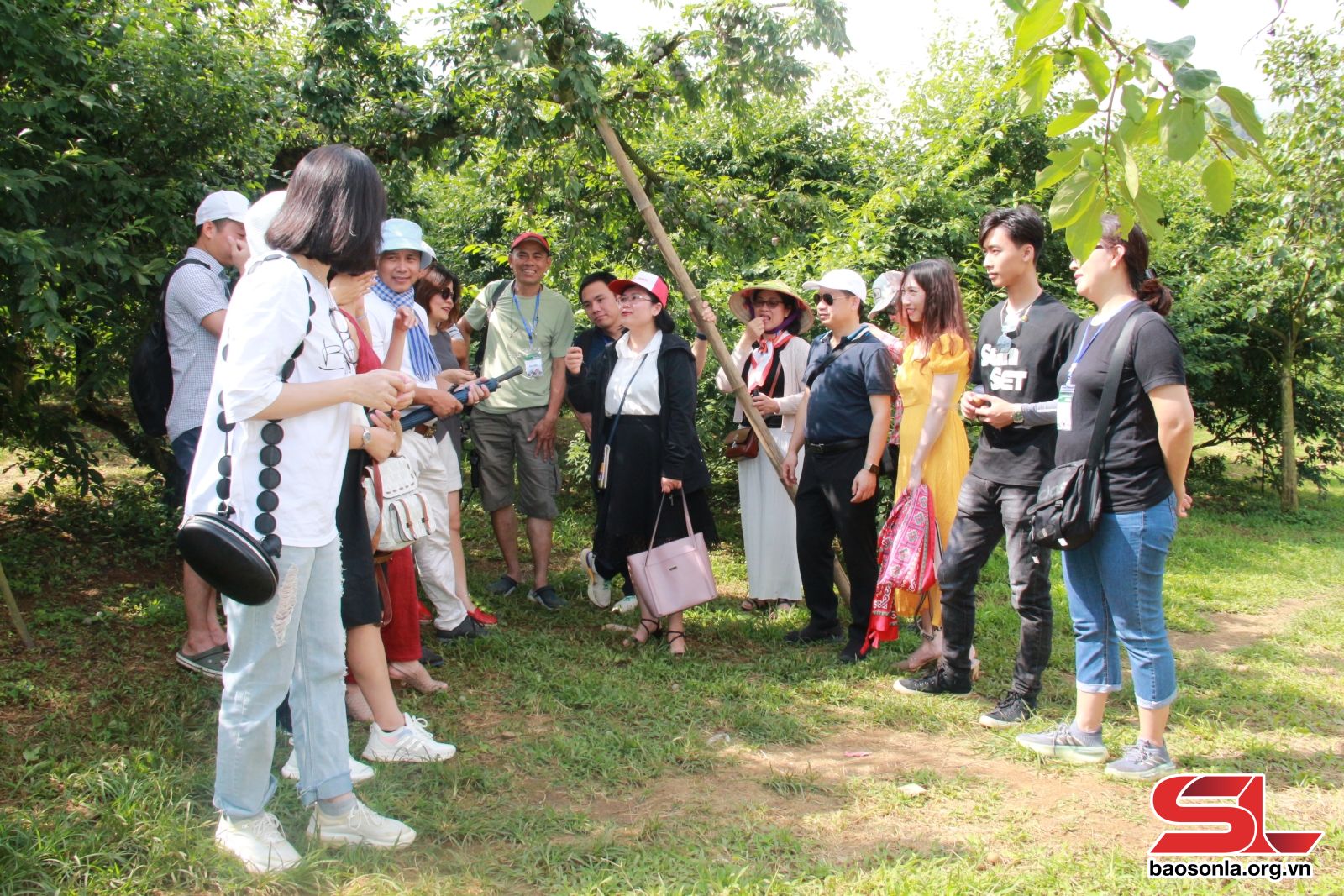 Sơn La: Đổi mới và đa dạng hình thức quảng bá du lịch - Ảnh 6.