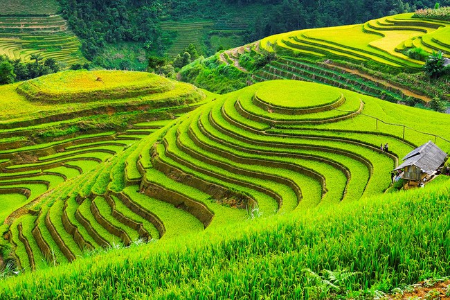 Điểm báo hoạt động ngành Văn hóa, Thể thao và Du lịch ngày 31/10/2023 - Ảnh 2.
