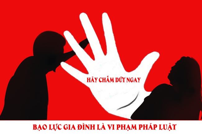 Bảo đảm cập nhật, kịp thời triển khai các hoạt động phát hiện, ngăn chặn hành vi bạo lực gia đình - Ảnh 1.