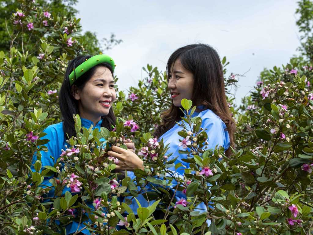 Quảng Ninh: Bảo tồn, phát huy lễ hội để phát triển du lịch miền núi, hải đảo - Ảnh 7.