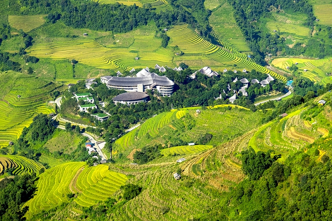 Điểm báo hoạt động ngành Văn hóa, Thể thao và Du lịch ngày 9/1/2024 - Ảnh 3.