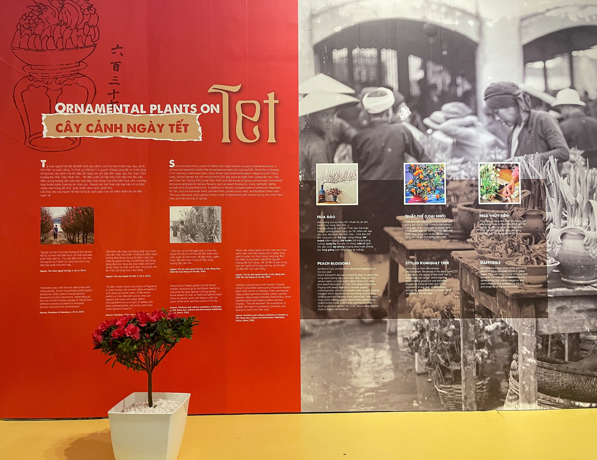 Phong vị Tết xưa cũ của người Hà Nội - Ảnh 1.