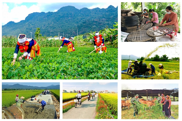 Mỗi tỉnh được chọn không quá 2 huyện thực hiện thí điểm cơ chế phân cấp quản lý các chương trình mục tiêu quốc gia - Ảnh 1.