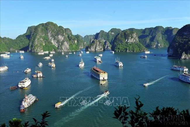 Điểm báo hoạt động ngành Văn hóa, Thể thao và Du lịch ngày 16/2/2024 - Ảnh 4.