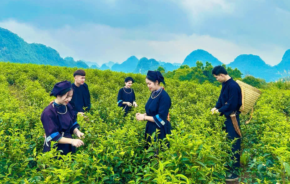 Cao Bằng: Phát huy giá trị văn hóa truyền thống phục vụ phát triển bền vững kinh tế - xã hội - Ảnh 1.