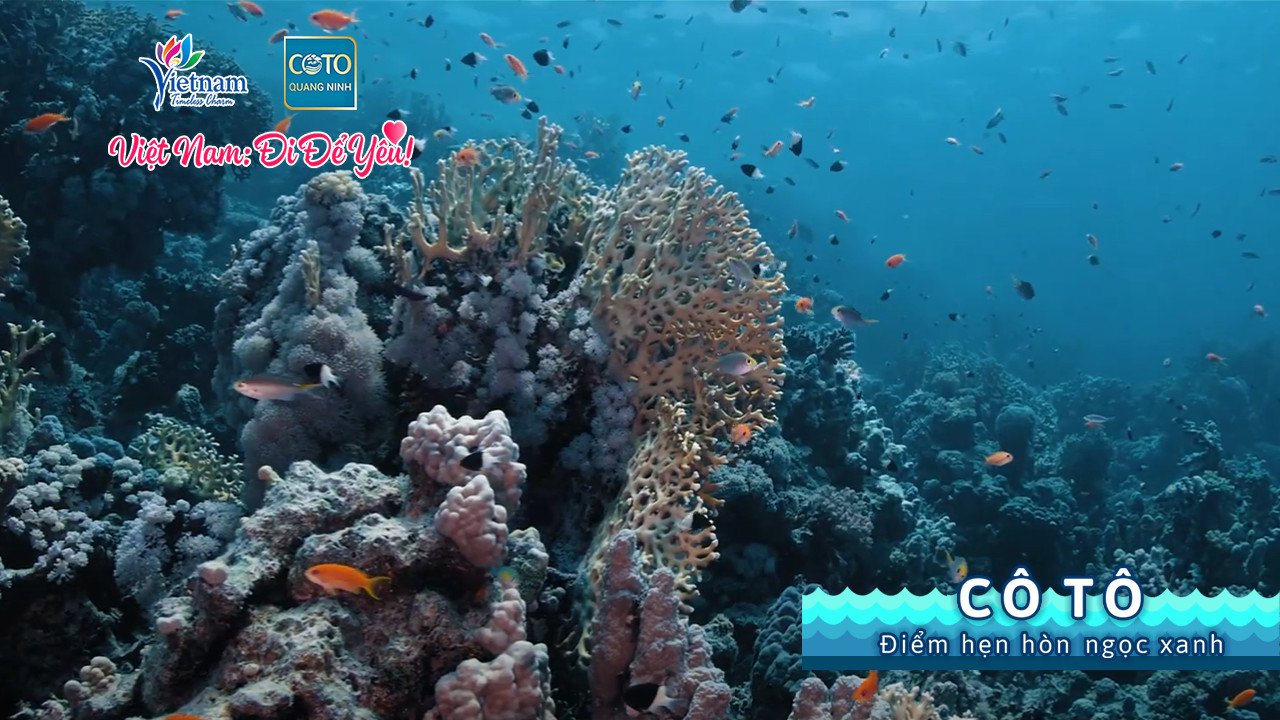 Ra mắt video clip “Cô Tô - Điểm hẹn hòn ngọc xanh” nhân dịp kỷ niệm 30 năm thành lập huyện Cô Tô - Ảnh 5.