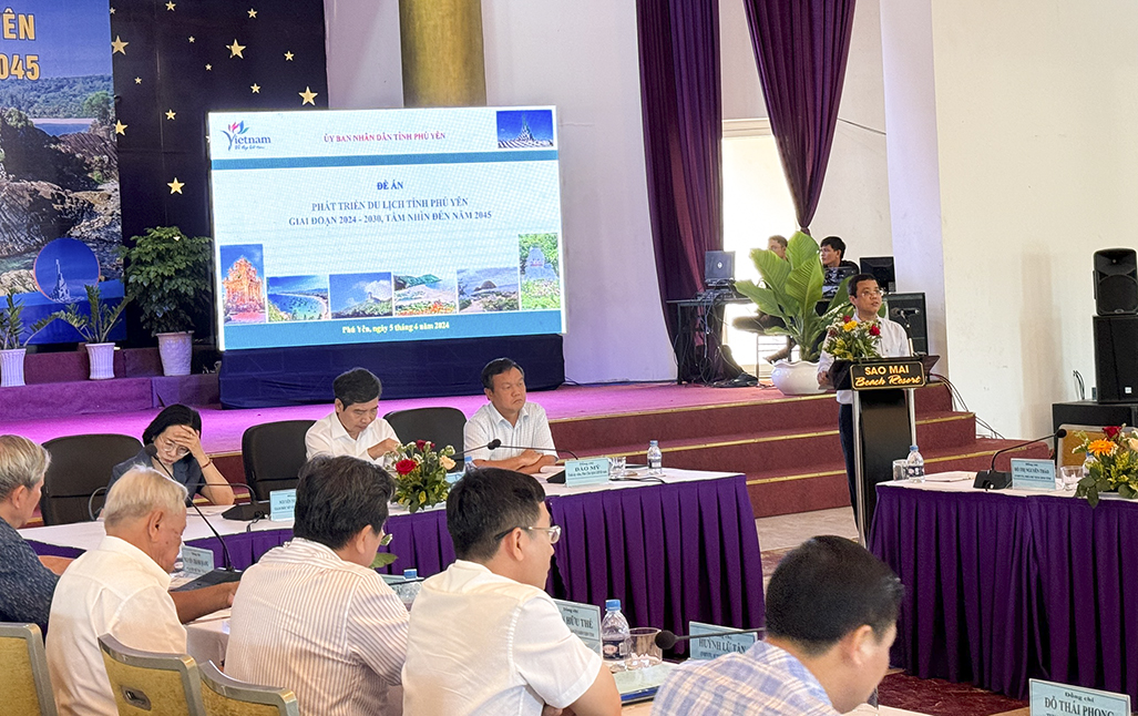 Phú Yên xây dựng Đề án phát triển du lịch giai đoạn 2024-2030, tầm nhìn đến năm 2045 - Ảnh 2.