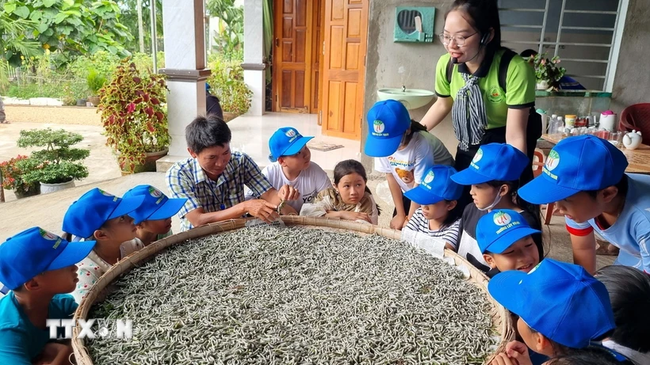 Quảng Ngãi: Bảo tồn làng nghề truyền thống gắn với phát triển du lịch - Ảnh 1.