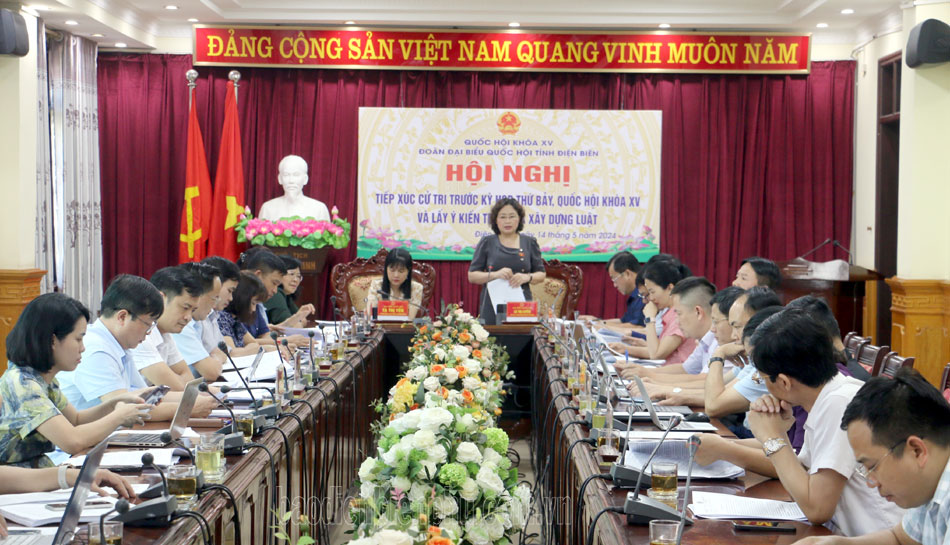 Đoàn ĐBQH nhiều địa phương tổ chức Hội nghị lấy ý kiến về Luật Di sản văn hóa (sửa đổi)  - Ảnh 1.