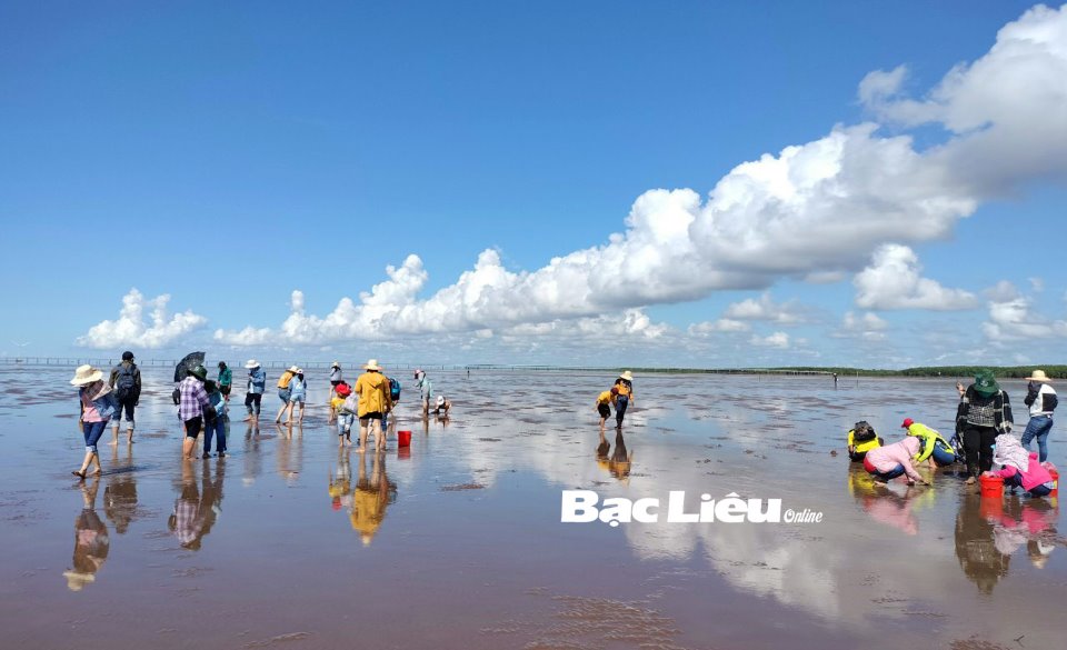 Bạc Liêu: Đón mùa cao điểm du lịch biển - Ảnh 2.