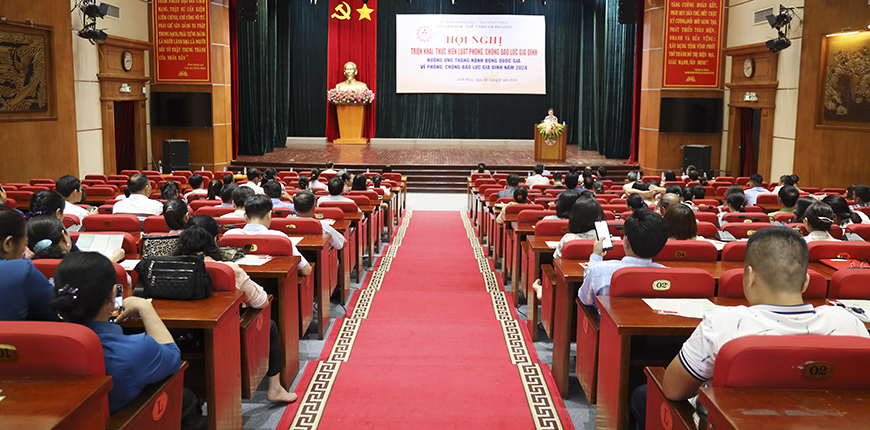 Vĩnh Phúc: Triển khai Luật Phòng, chống bạo lực gia đình - Ảnh 1.
