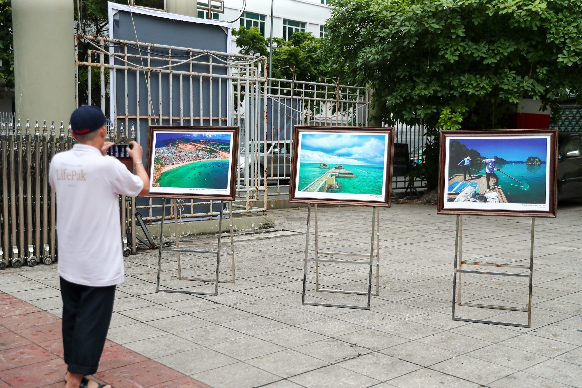 Chương trình "Biển, Đảo quê hương" hưởng ứng Ngày Môi trường thế giới - Ảnh 4.