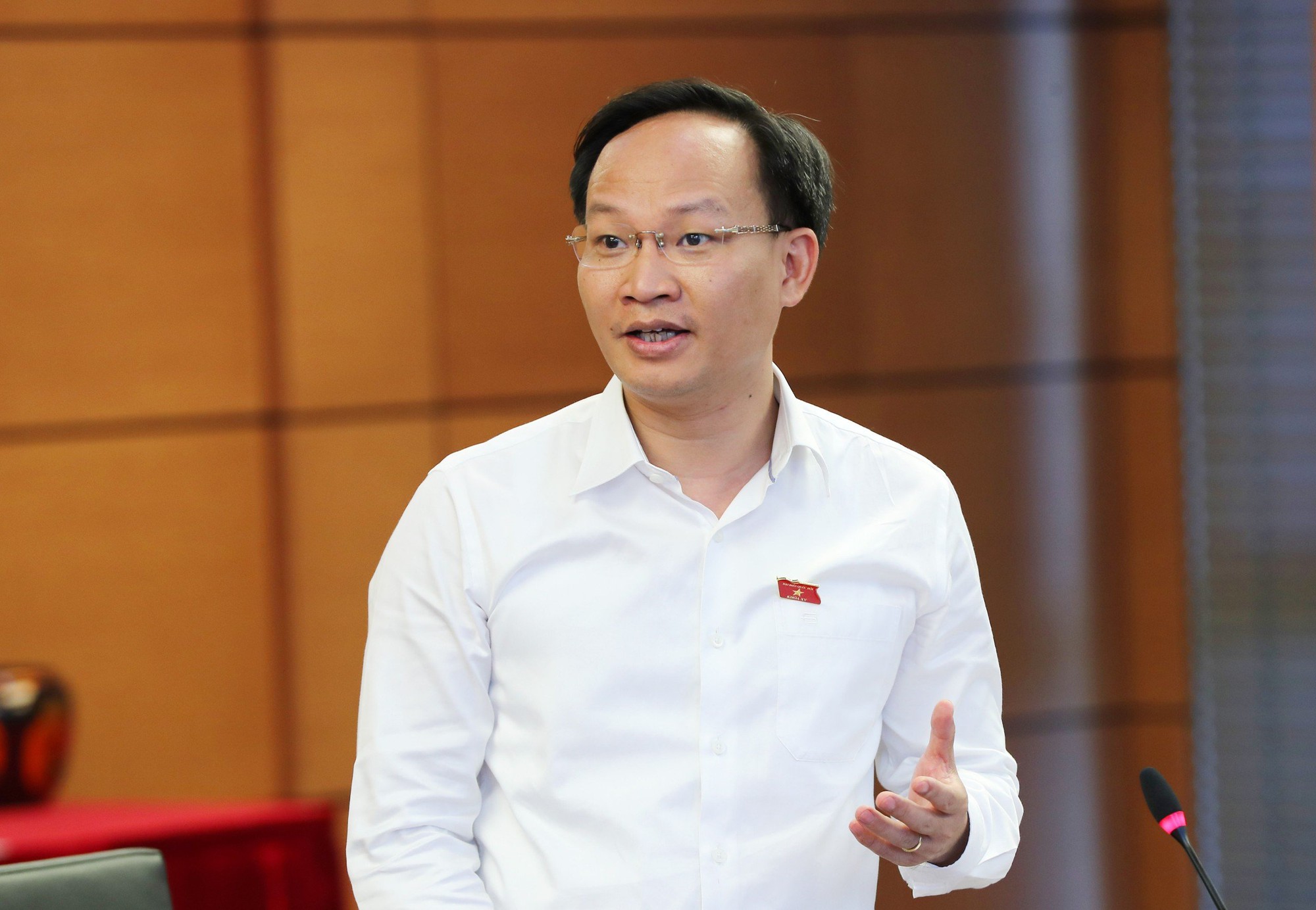 Đại biểu Quốc hội: Chương trình MTQG về văn hóa rất ý nghĩa, mọi người dân đều được thụ hưởng - Ảnh 3.