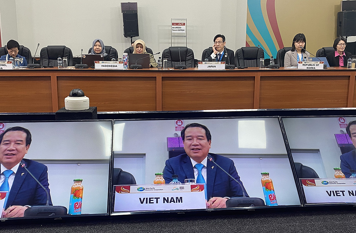 Việt Nam tham dự Phiên họp Nhóm Công tác Du lịch APEC lần thứ 63 - Ảnh 1.