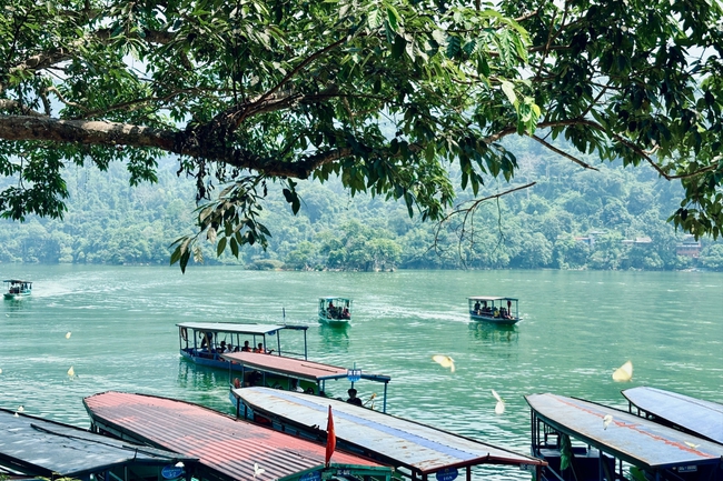 Điểm báo hoạt động ngành Văn hóa, Thể thao và Du lịch ngày 11/6/2024 - Ảnh 3.