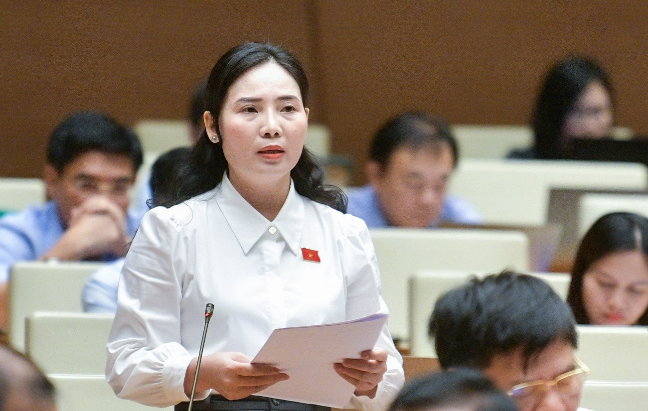 Đề nghị bổ sung quy định về quản lý, phát triển, bảo vệ và phát huy giá trị của loại hình công viên địa chất, gắn phát triển du lịch bền vững - Ảnh 3.
