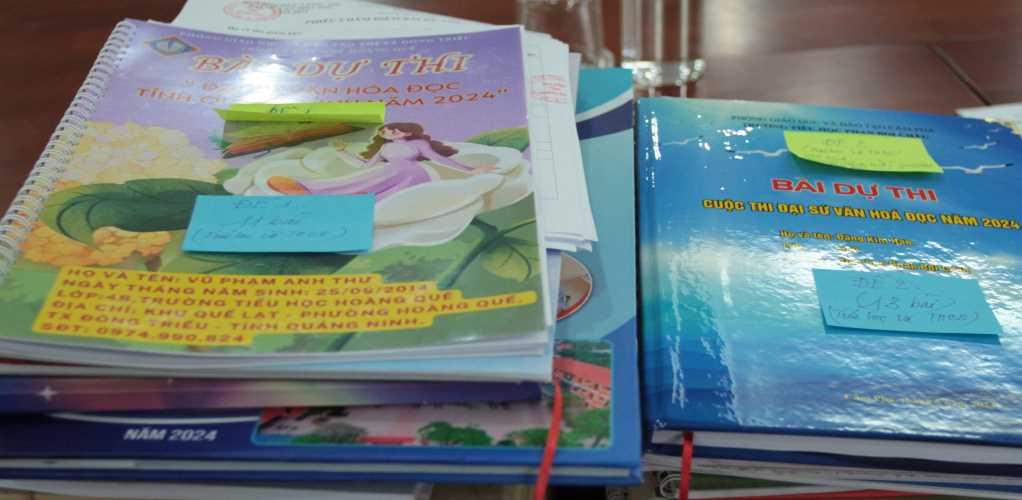 Quảng Ninh: Sôi nổi Cuộc thi Đại sứ văn hóa đọc - Ảnh 1.