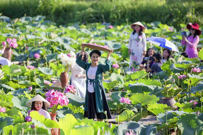 Điểm báo hoạt động ngành Văn hóa, Thể thao và Du lịch ngày 9/7/2024 - Ảnh 1.