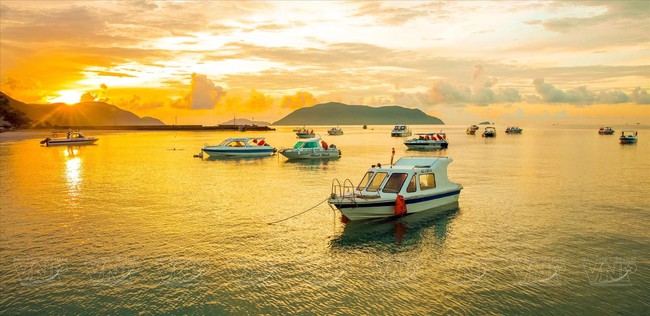 Điểm báo hoạt động ngành Văn hóa, Thể thao và Du lịch ngày 15/8/2024 - Ảnh 4.