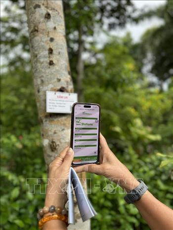 Bà Rịa - Vũng Tàu: Công bố điểm đến trung hòa Carbon-Net Zero Station - Ảnh 2.