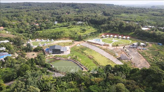 Bà Rịa - Vũng Tàu: Công bố điểm đến trung hòa Carbon-Net Zero Station - Ảnh 3.