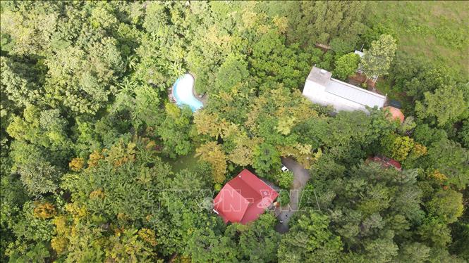 Bà Rịa - Vũng Tàu: Công bố điểm đến trung hòa Carbon-Net Zero Station - Ảnh 4.