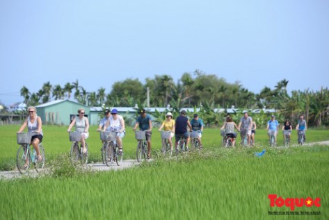 Quảng Nam: Xây dựng và phát triển sản phẩm du lịch  đặc trưng, đa dạng, mang đậm bản sắc văn hoá truyền thống - Ảnh 1.