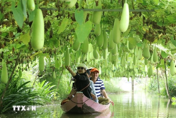Du lịch nông nghiệp, nông thôn - Xu hướng đang được ưa chuộng - Ảnh 1.