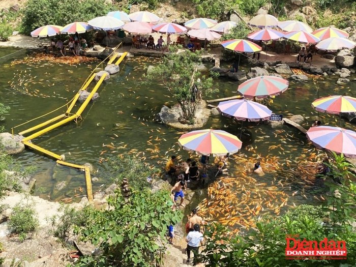 “Xanh hoá” du lịch: Giải pháp nào cho Nghệ An? - Ảnh 1.