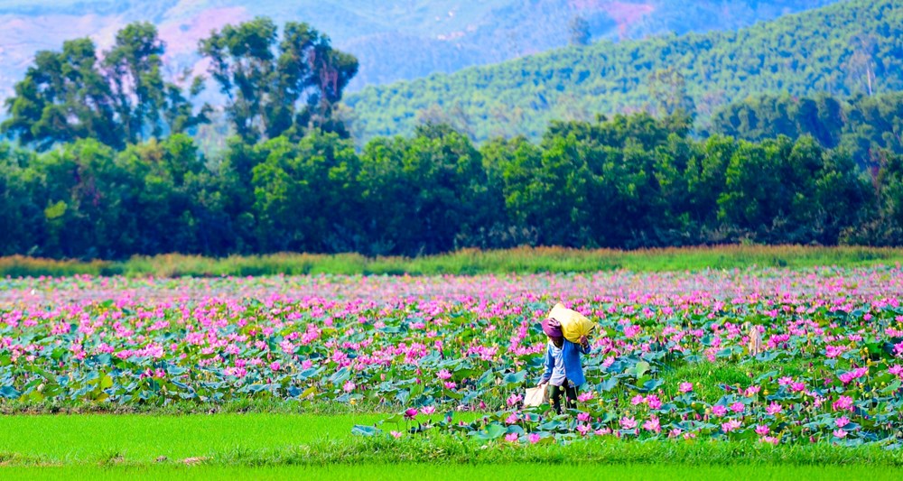 Quảng Ngãi: Phê duyệt Đề án thành lập Trung tâm Xúc tiến và Hỗ trợ đầu tư, thương mại, du lịch - Ảnh 2.