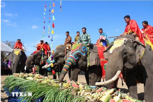 Đắk Lắk: Hội voi Buôn Đôn để lại ấn tượng sâu sắc với nhiều du khách - Ảnh 1.