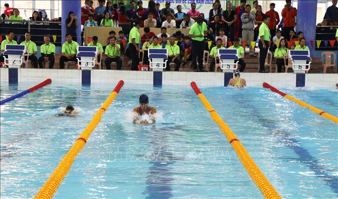 Giải bơi, lặn vô địch quốc gia bể 25m quy tụ nhiều gương mặt hàng đầu  - Ảnh 1.