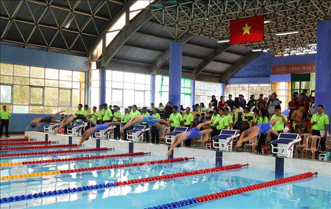 Giải bơi, lặn vô địch quốc gia bể 25m quy tụ nhiều gương mặt hàng đầu  - Ảnh 2.