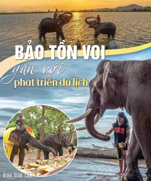 Đắk Lắk: Bảo tồn voi gắn với phát triển du lịch - Ảnh 3.
