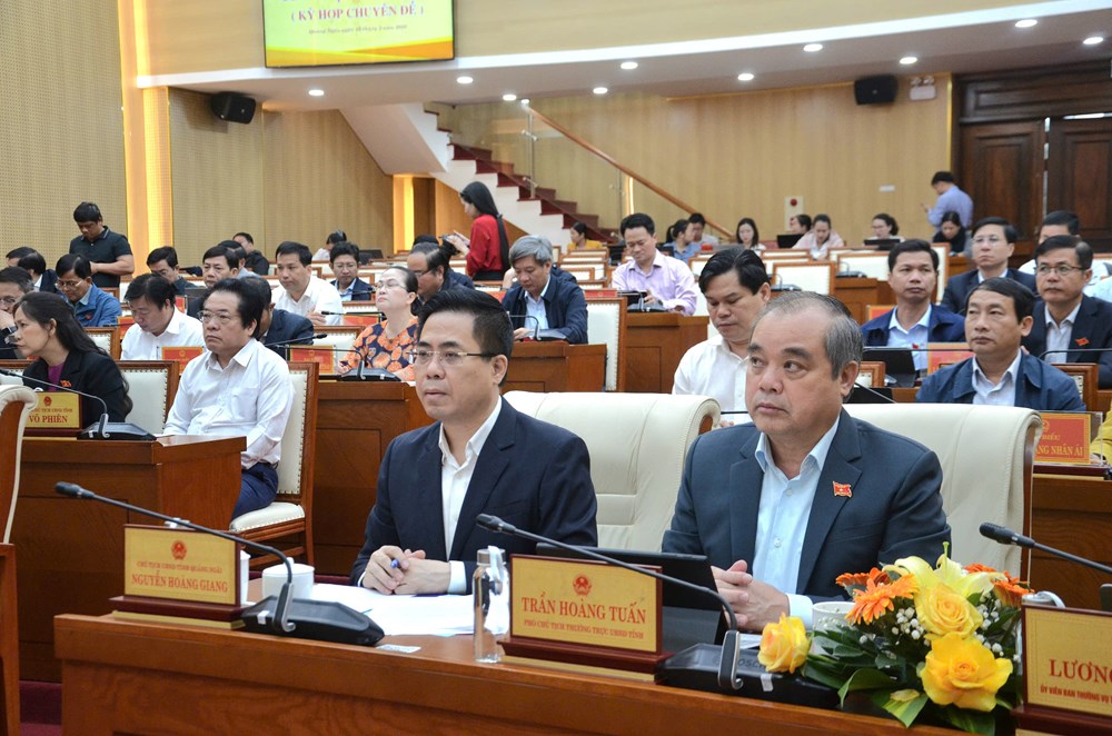 HĐND Quảng Ngãi thông qua bãi bỏ Nghị quyết về Quy hoạch tổng thể phát triển du lịch - Ảnh 2.