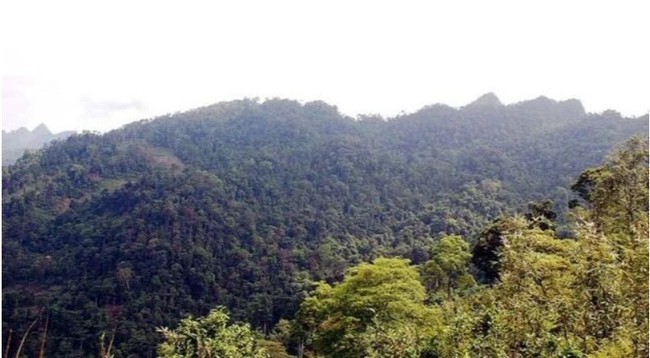 Hà Giang khai thác tiềm năng du lịch tại các khu bảo tồn thiên nhiên, vườn quốc gia  - Ảnh 2.