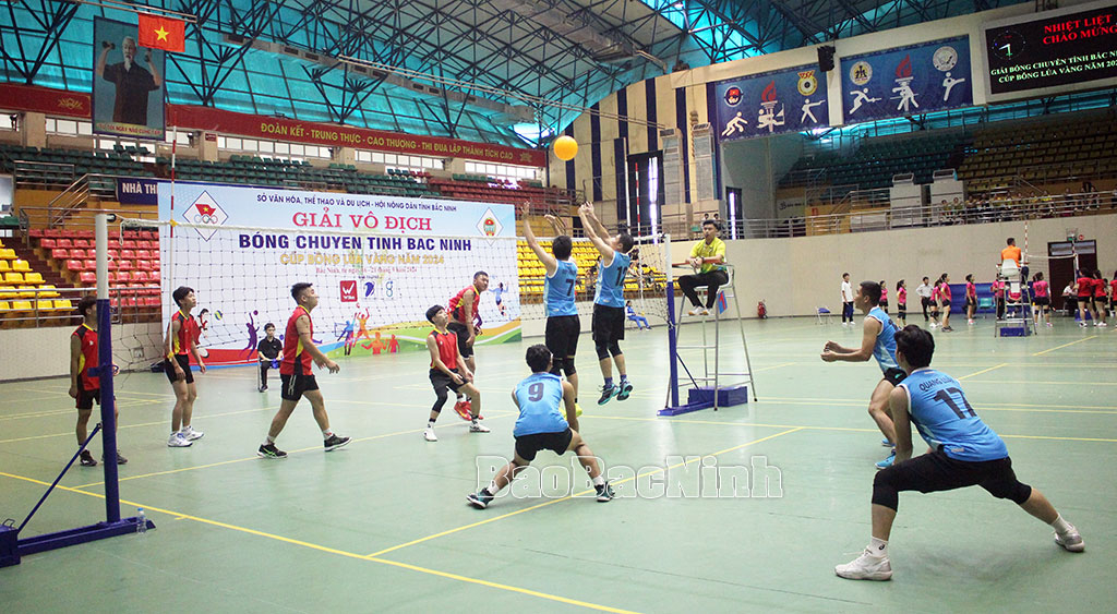 Bắc Ninh: Phát triển thể thao thành tích cao tương xứng với tiềm năng, thế mạnh - Ảnh 1.
