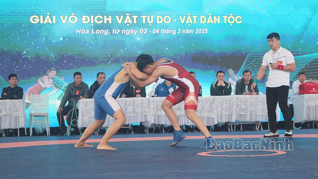 Bắc Ninh: Phát triển thể thao thành tích cao tương xứng với tiềm năng, thế mạnh - Ảnh 2.