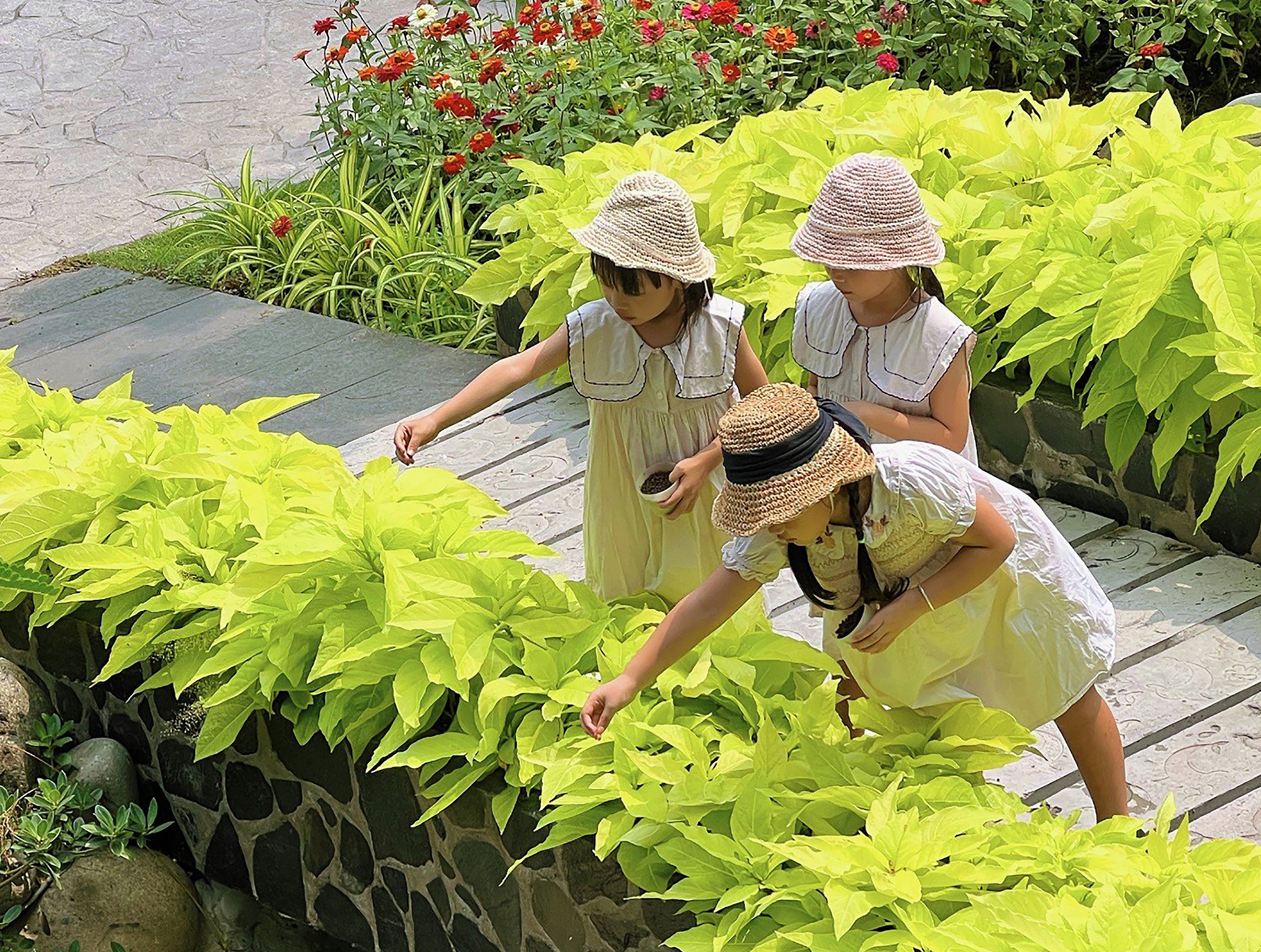 Bà Rịa - Vũng Tàu: Đưa du lịch trở thành ngành kinh tế trụ cột - Ảnh 1.