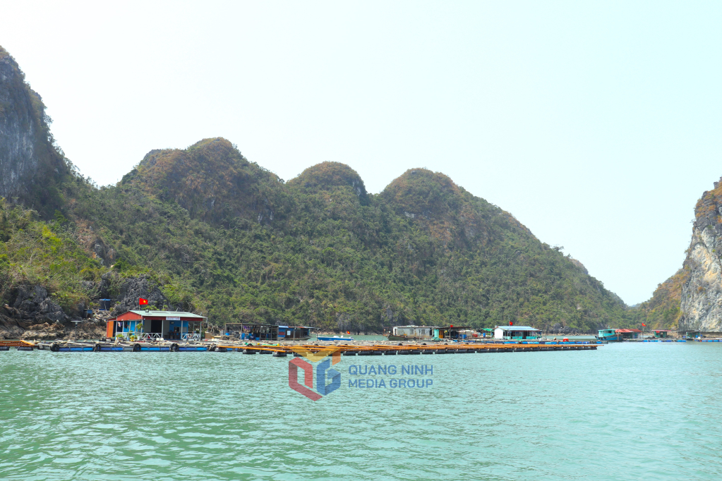 Quảng Ninh: Ngày 29/3, khai trương các hành trình tham quan, du lịch vịnh Bái Tử Long - Ảnh 2.