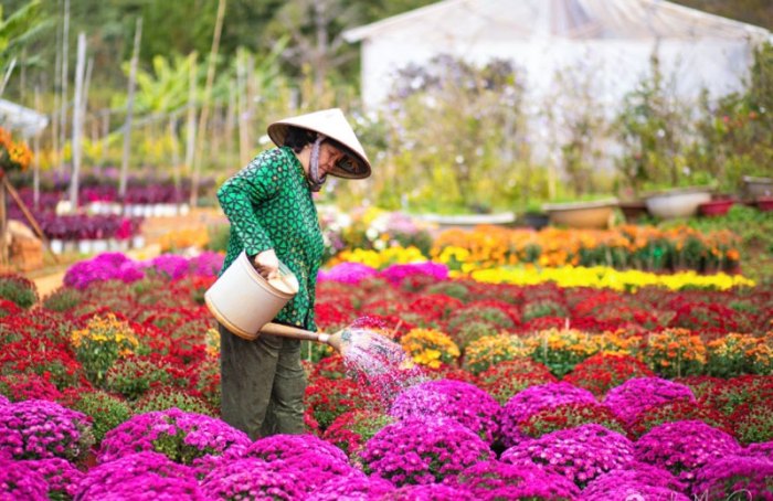 Kon Tum khai thác tài nguyên độc đáo để phát triển du lịch - Ảnh 1.