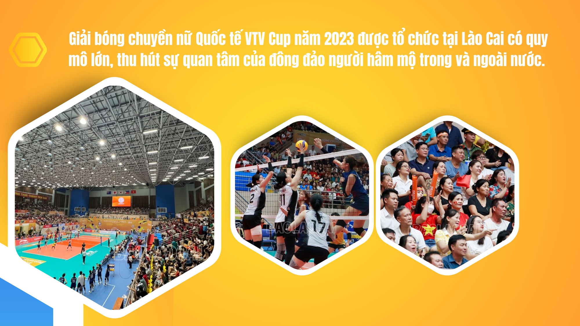 Thể thao Lào Cai vươn tầm cao mới - Ảnh 1.